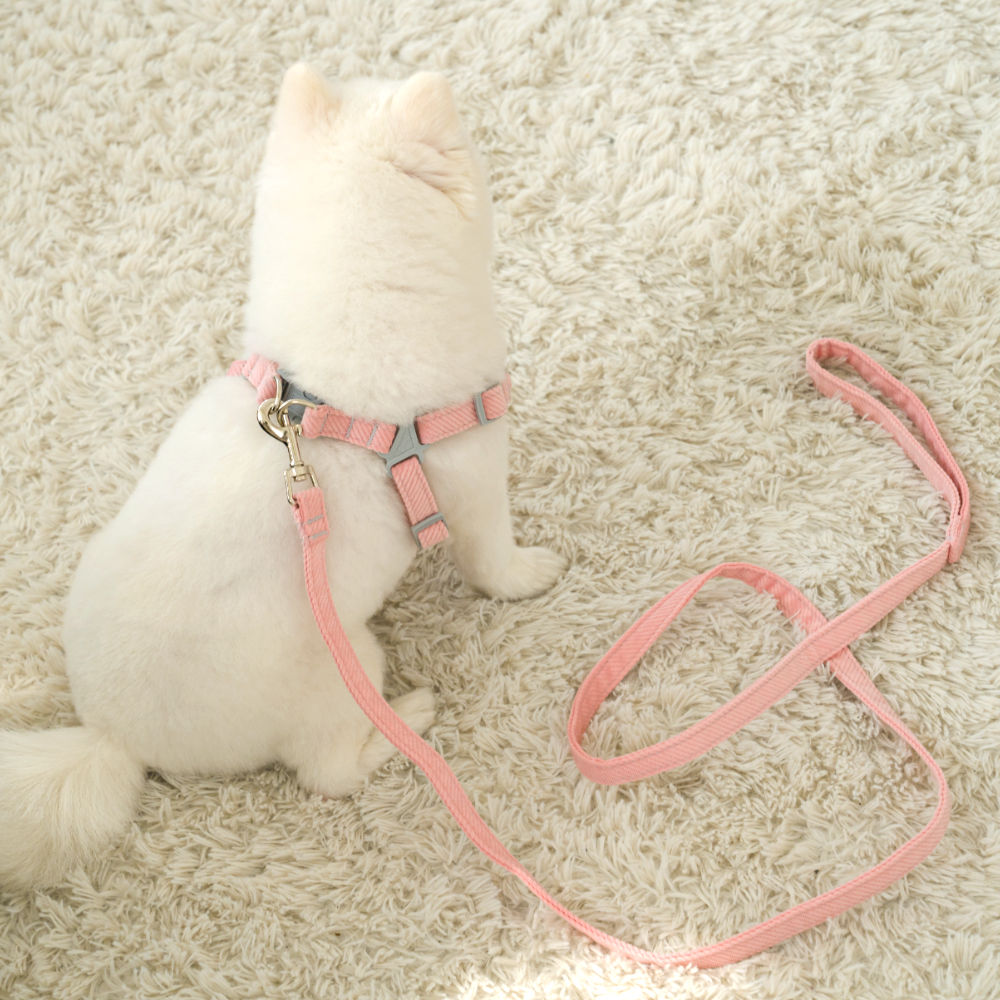 퍼플펫 강아지 하네스 가슴줄 소형견 앞섬방지 파스텔하네스