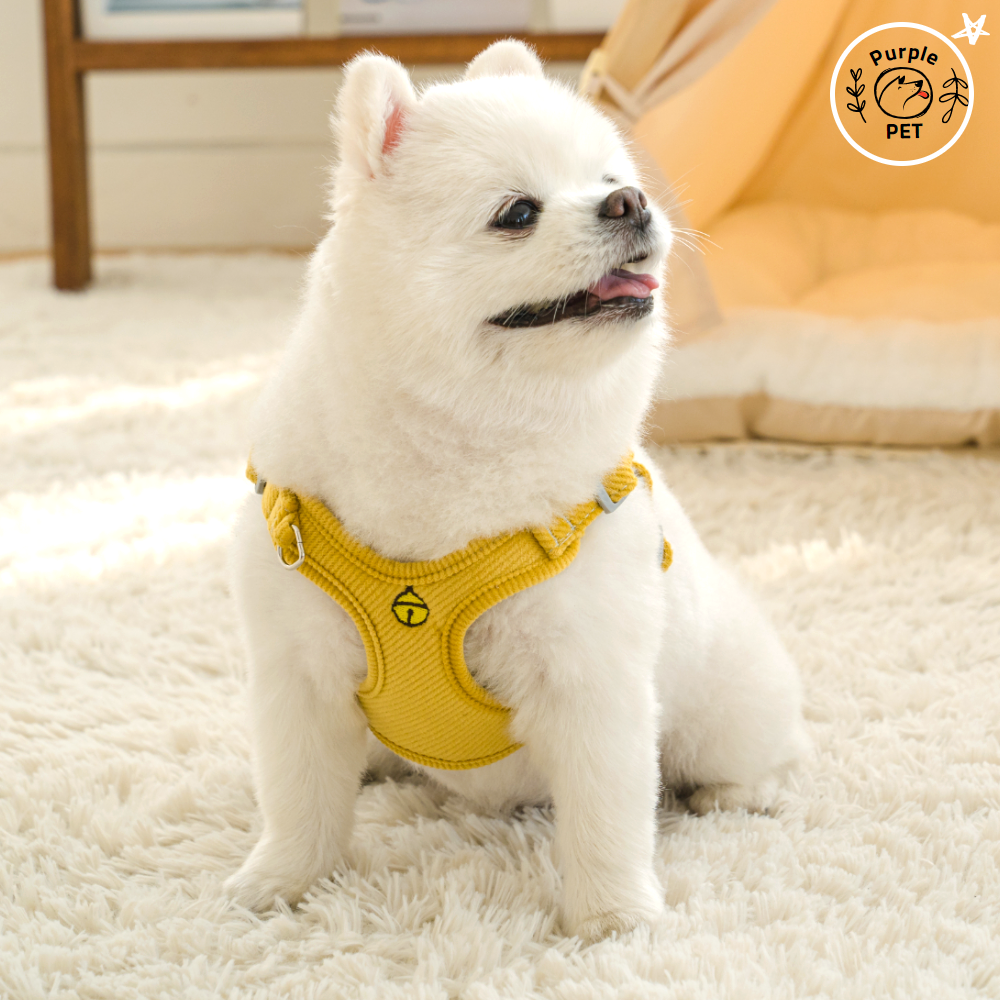 퍼플펫 강아지 하네스 가슴줄 소형견 앞섬방지 파스텔하네스