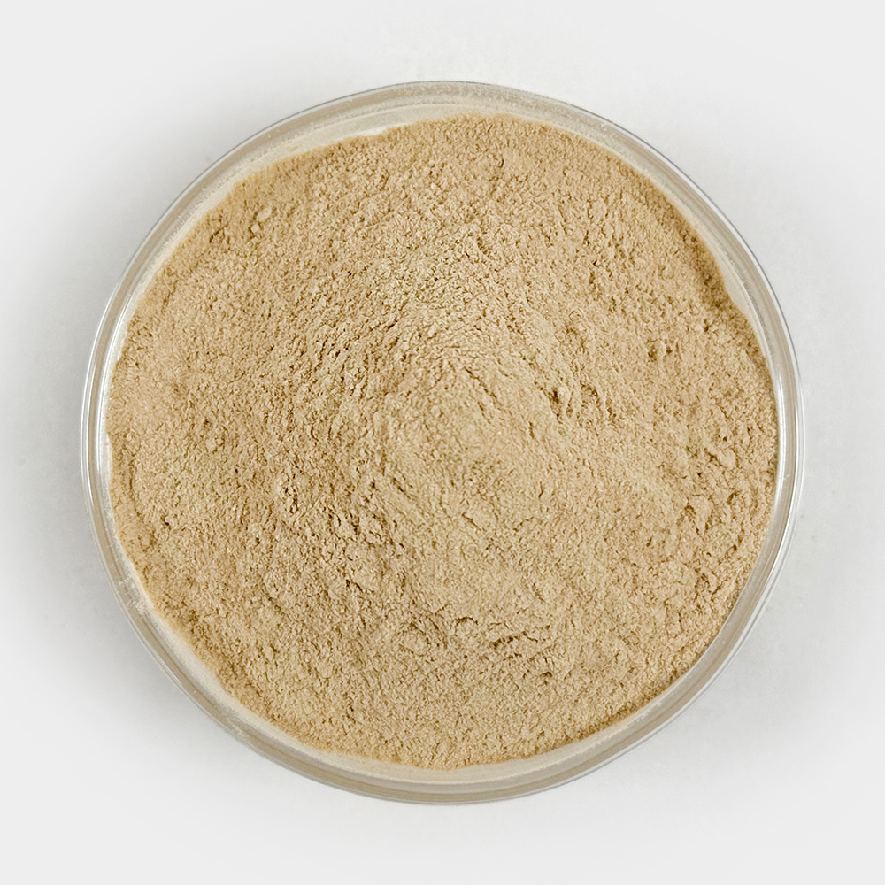 국산 새우가루 새우분말 60g - 상세 이미지 3