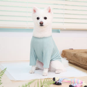 페츠모아(천연펄프) 요술배변패드 프리미엄 엣지 강아지 배변패드 표준형 중... 솔직 후기 | 실제 사용자 리뷰 총정리 - 상품 이미지 2