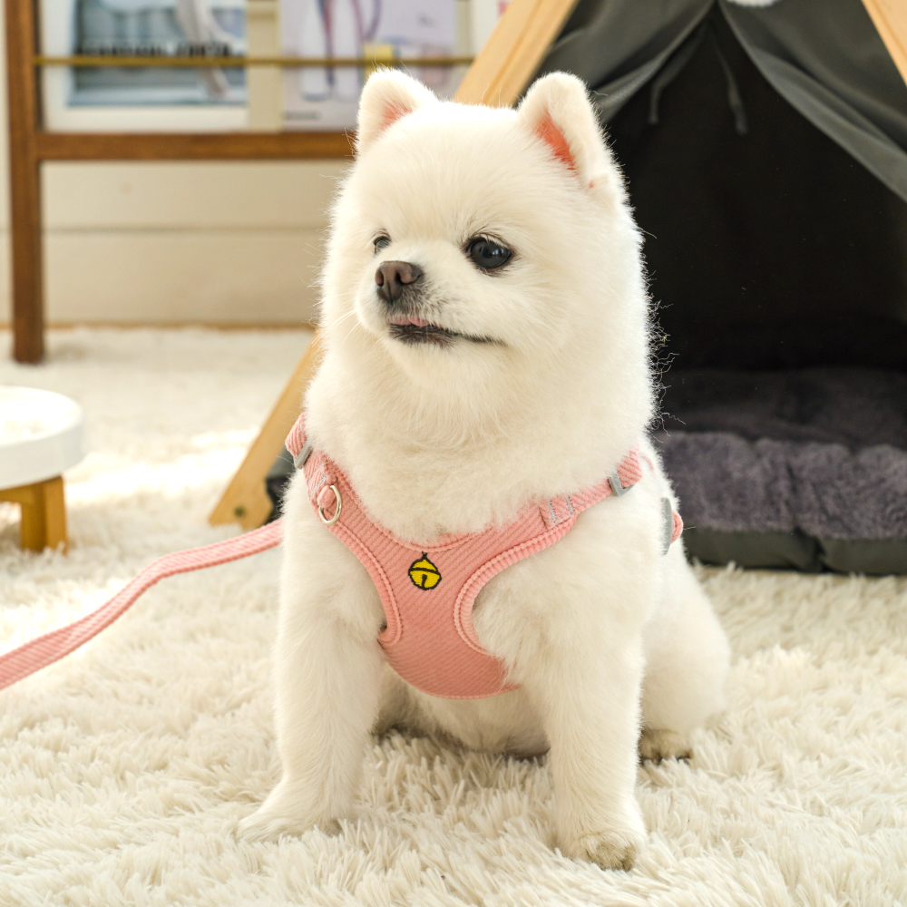 퍼플펫 강아지 하네스 가슴줄 소형견 앞섬방지 파스텔하네스