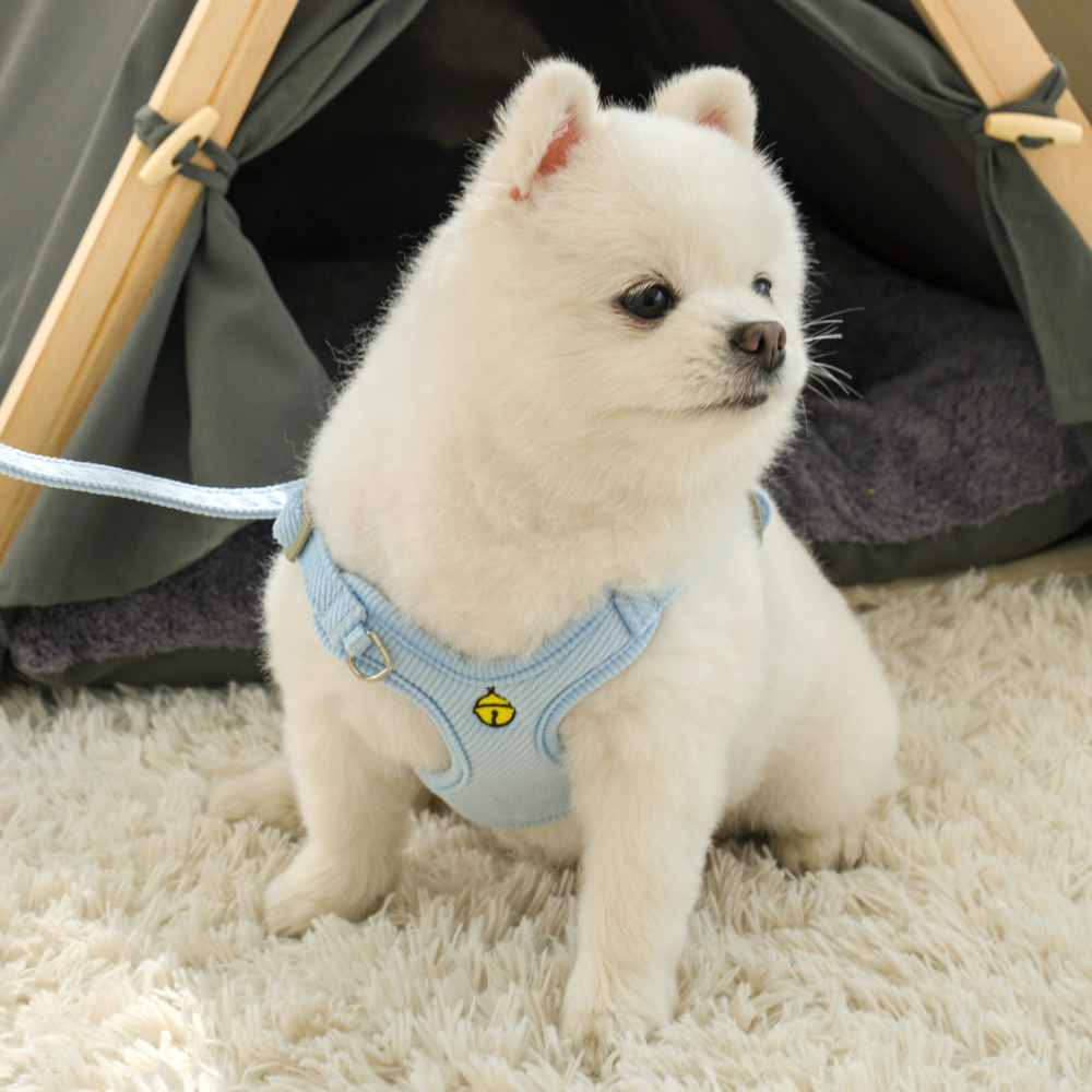 퍼플펫 강아지 하네스 가슴줄 소형견 앞섬방지 파스텔하네스