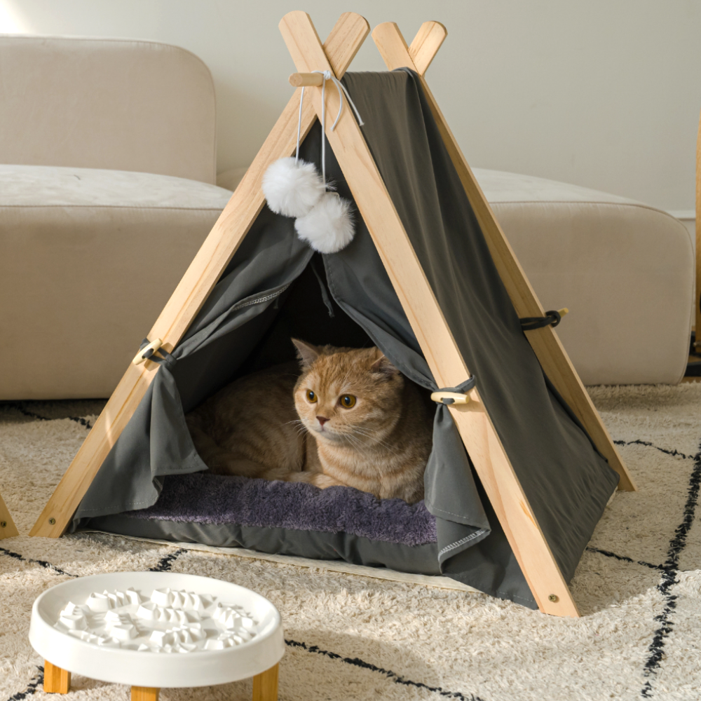 퍼플펫 원목 강아지 하우스 고양이 숨숨집 텐트 침대 애견 집 업그레이드버전