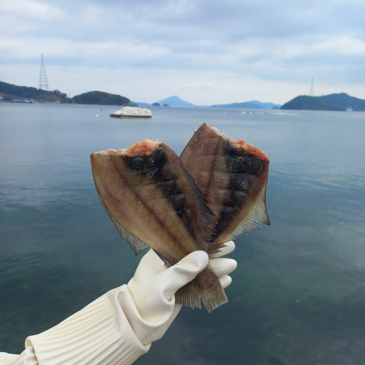 (급냉) 반건조 가자미 500g (2~4미) - 상세 이미지 4