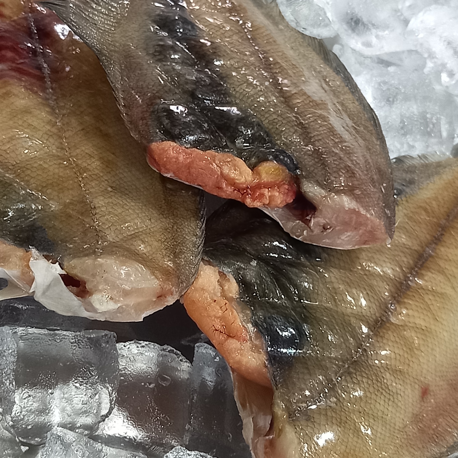 (급냉) 반건조 가자미 500g (2~4미) - 상품 이미지