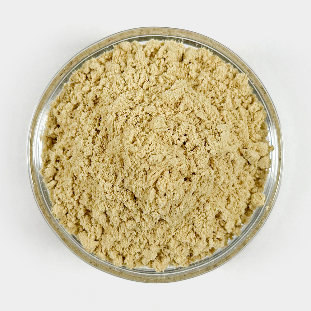 수입산 생강가루 생강분말 1kg(500gx2) - 상세 이미지 3