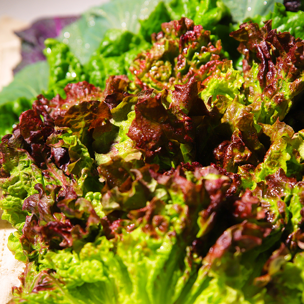 쌈채소 오늘수확 GAP인증 한박스 상세 이미지 4