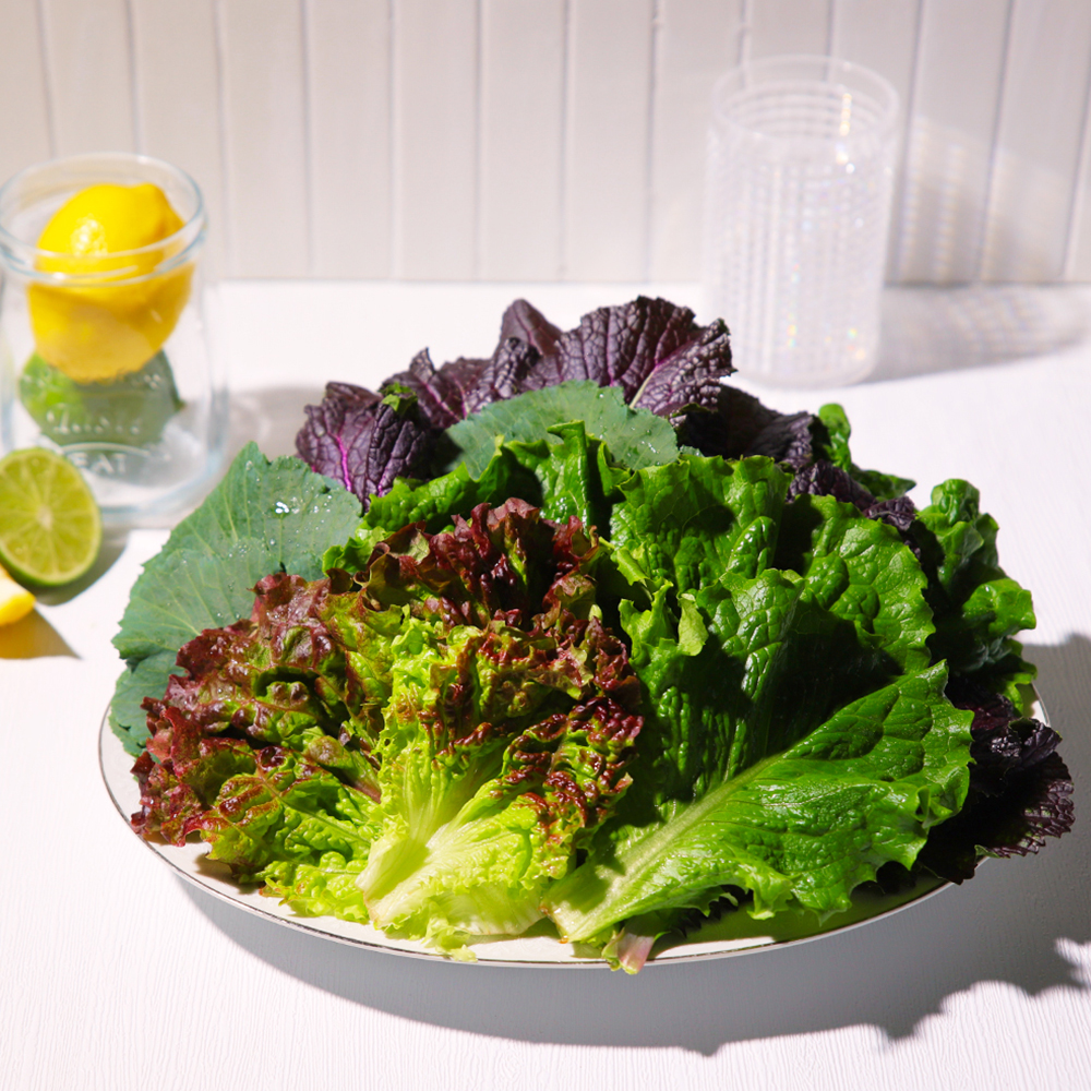 쌈채소 오늘수확 GAP인증 한박스 상세 이미지 3