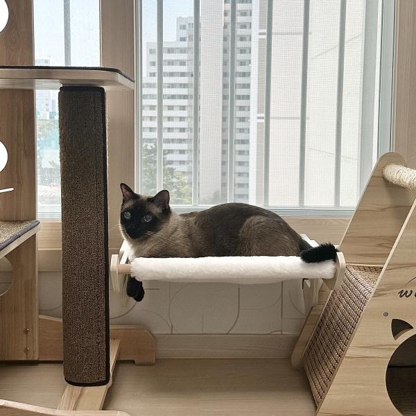 아텍스 고양이 해먹