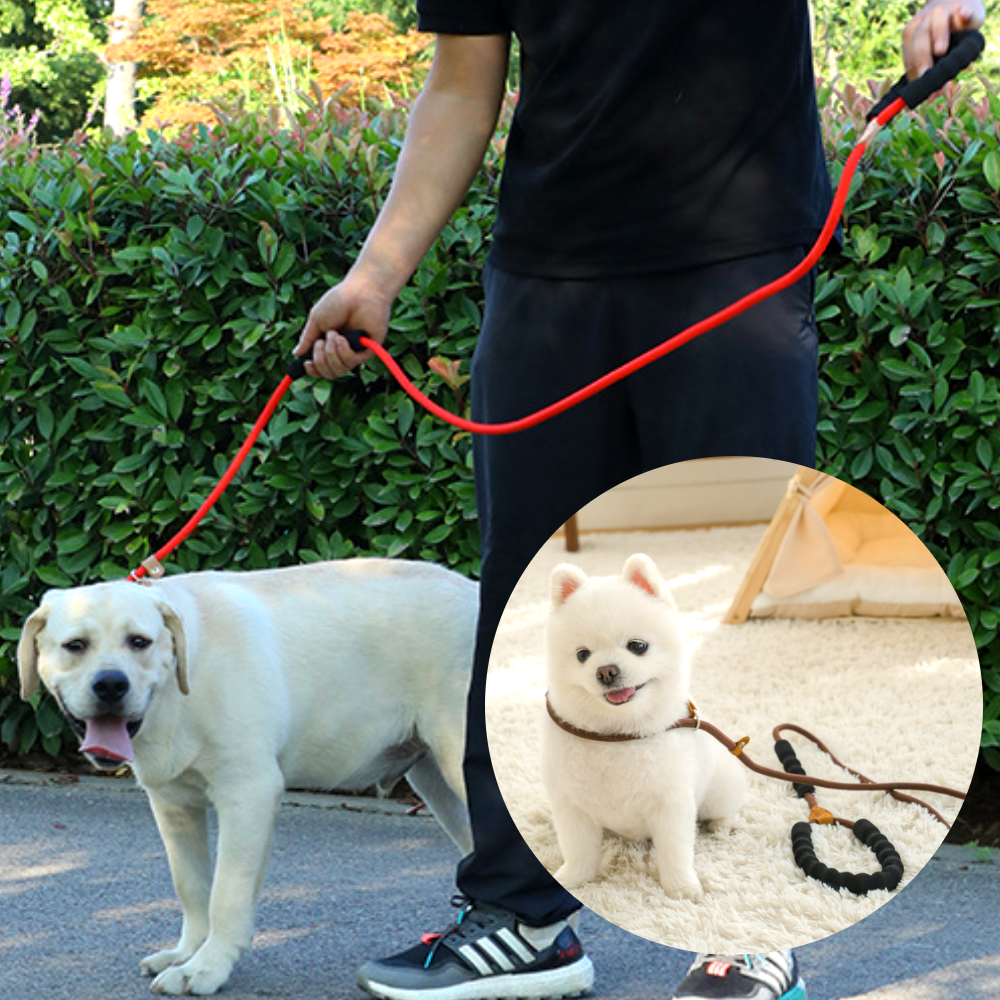 퍼플펫 강아지 목줄 소형견 대형견 목줄 훈련용 오리지널 S 이미지 2