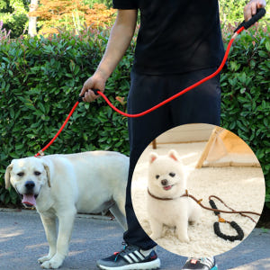 퍼플펫 강아지 목줄 소형견 대형견 목줄 훈련용 오리지널 S 솔직 후기 | 실제 사용자 리뷰 총정리 - 상품 이미지 2