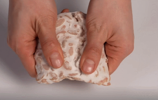 콩 발효식품 템페 세트(400g 6팩) - 상세 이미지 2
