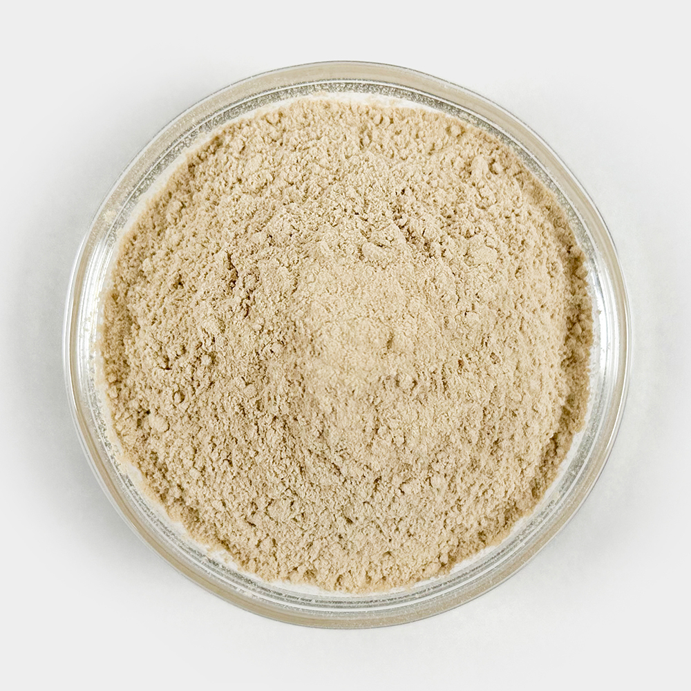 표고버섯 가루 250g - 상세 이미지 3