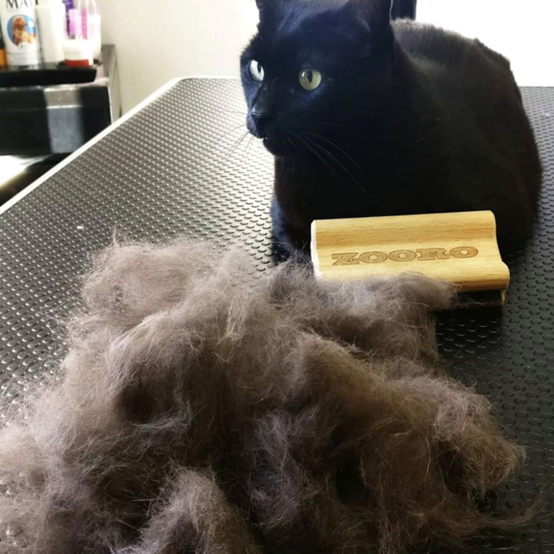 주로빗 미니 강아지 고양이 죽은털제거 브러쉬