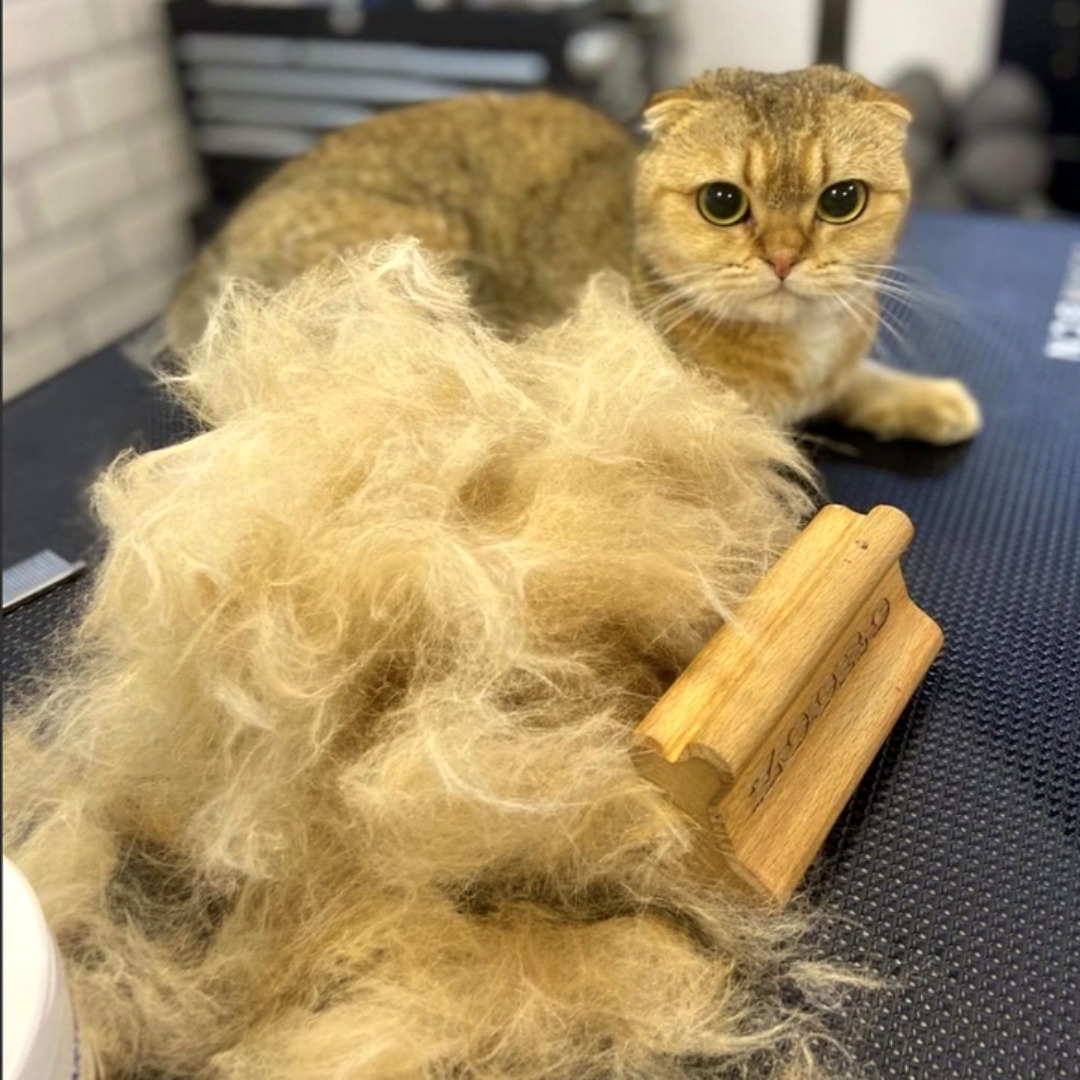 ZOORO 주로 그루밍 빗 롱헤어 고양이 강아지 브러시 장모 털관리 - 상세 이미지 5