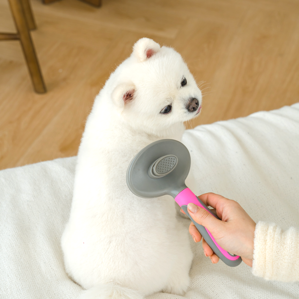 강아지 빗 고양이 브러쉬 원터치 슬리커브러쉬