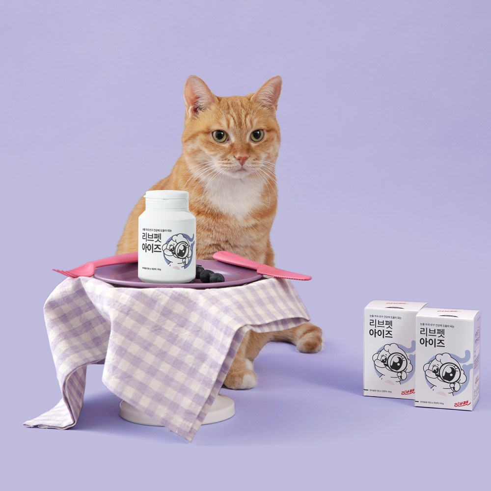 리브펫 아이즈 고양이 강아지 눈 눈물 영양제 60g, 1개 이미지 4