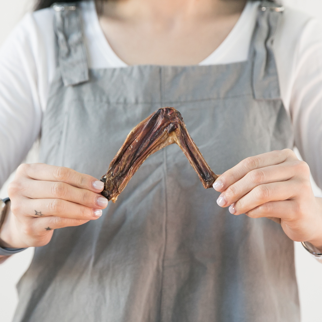강아지 수제 간식 대형견 애견 오리날개 100g