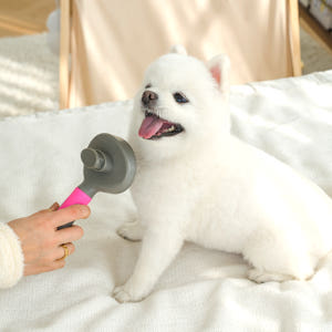 강아지 빗 고양이 브러쉬 원터치 슬리커브러쉬 솔직 후기 | 실제 사용자 리뷰 총정리 - 상품 이미지 3