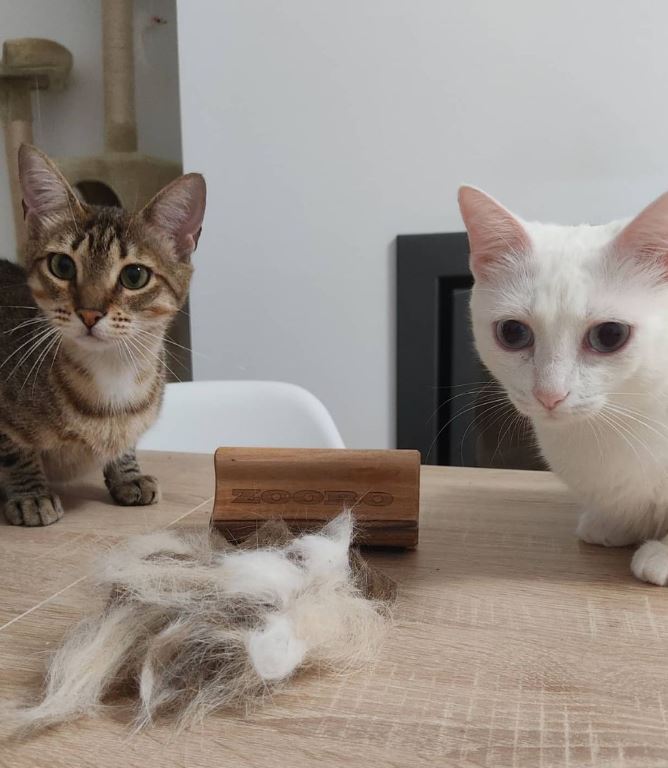ZOORO 주로 그루밍 빗 롱헤어 고양이 강아지 브러시 장모 털관리 : A-PARK