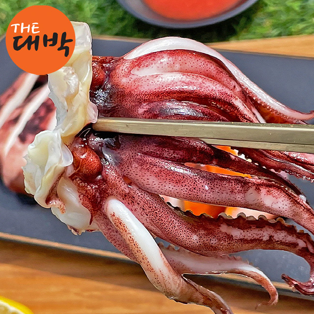 선동 오징어 1kg 통찜 한입 - 상세 이미지 5