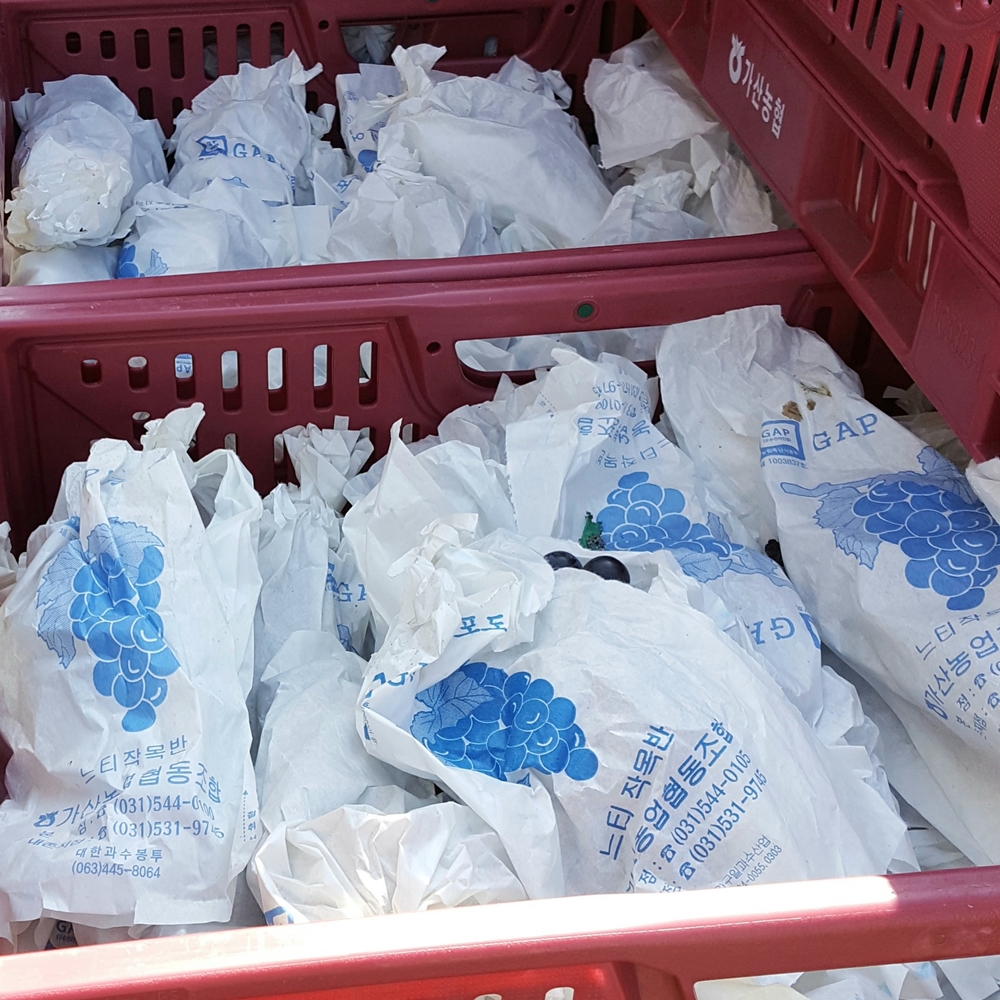 [4개구매시+1추가] 비네코 천연발효 와인식초 500ml 레드와인 비니거 프로바이오틱스특허 [본사직영] 이미지 2