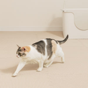 에코폼 고양이 모래매트 사막화방지 화장실 캣 벌집 발판 룰루 매트 60x... 솔직 후기 | 실제 사용자 리뷰 총정리 - 상품 이미지 2