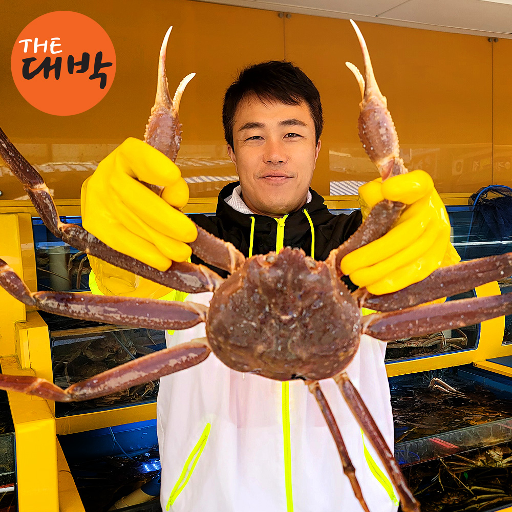 러시아 박달대게 마가단 수율보장