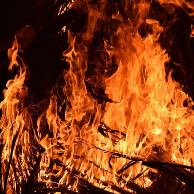 바베큐장작 10kg 바베큐용 화목보일러나무 땔감 나무 절단목