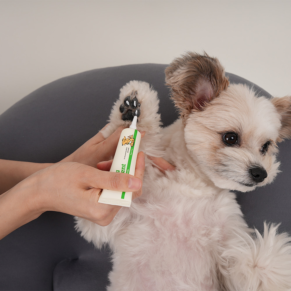 래핑찰리 수딩오인먼트 20g 강아지 연고 발바닥 보습제 크림 발바닥밤 이미지 2