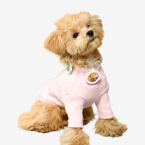 래핑찰리 산책목걸이 이지세이프 클립 리뉴얼 찰리프렌즈 3개입 세트 솔직 후기 | 실제 사용자 리뷰 총정리 - 상품 이미지 4