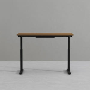 데스커 모션데스크 플러스 1400x700mm, 블랙 솔직 후기 | 실제 배치 사진 포함 - 상품 이미지 2