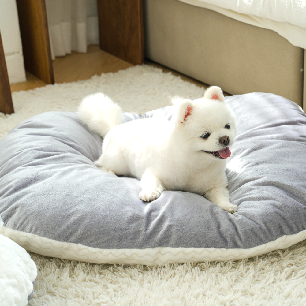 퍼플펫 강아지 방석 고양이 마약 방석 대형견 쿠션 폭신한 딥슬립 중형