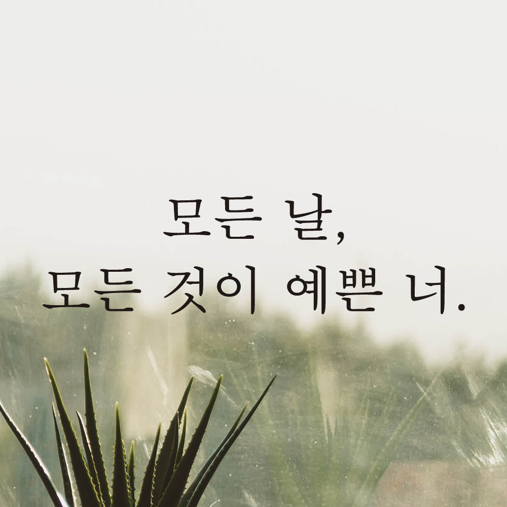포인트 스티커 레터링 카페 매장 모든 날 모든 것이 예쁜 너 L-075S 검정 - 상세 이미지 2