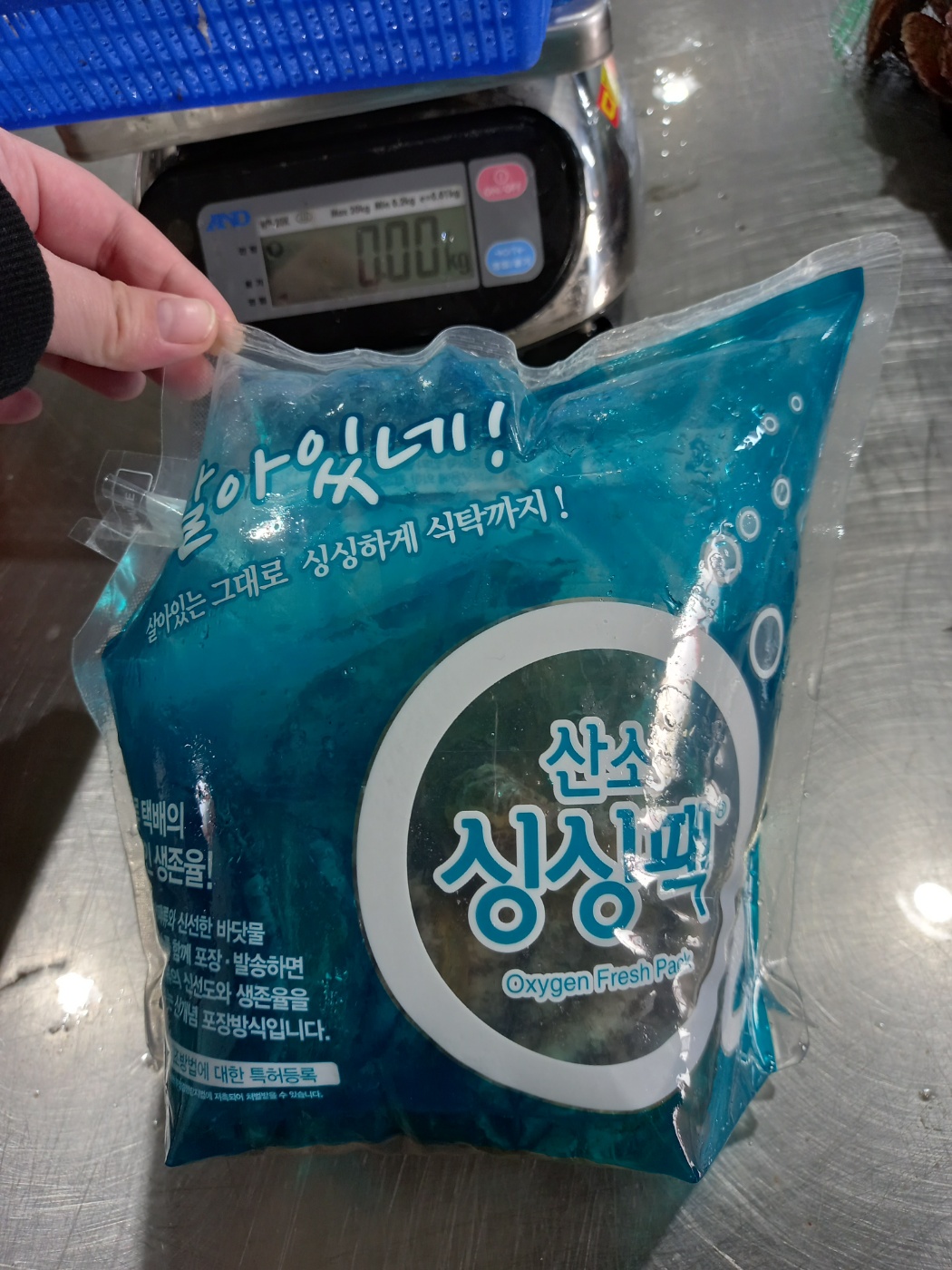완도 활전복 500g,1kg 당일조업 산소포장 - 상세 이미지 2