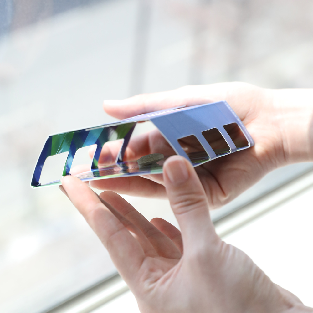 기어다니는 노린재 보행해충 제거 바퀴벌레 개미 좀벌레 권연벌레 지네 거미 그리마 돈벌레 콩벌레 실버피쉬 개미 퇴치 끈끈이 페스트세븐모니터링 트랩