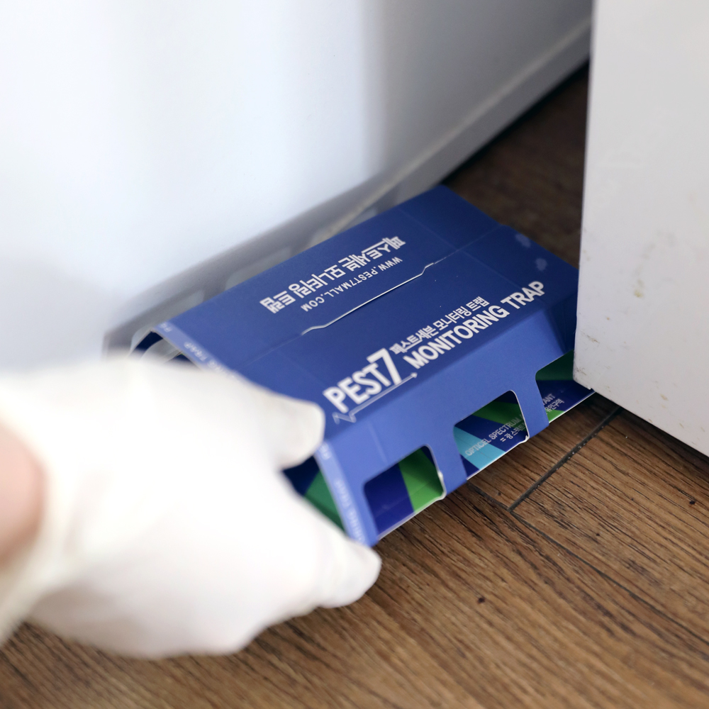 기어다니는 노린재 보행해충 제거 바퀴벌레 개미 좀벌레 권연벌레 지네 거미 그리마 돈벌레 콩벌레 실버피쉬 개미 퇴치 끈끈이 페스트세븐모니터링 트랩