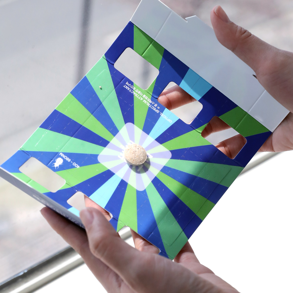 기어다니는 노린재 보행해충 제거 바퀴벌레 개미 좀벌레 권연벌레 지네 거미 그리마 돈벌레 콩벌레 실버피쉬 개미 퇴치 끈끈이 페스트세븐모니터링 트랩