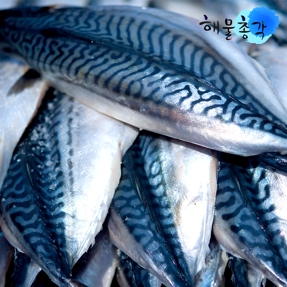 해물총각 청정 노르웨이산 HACCP 손질생선 가시제거 순살 고등어 5팩 이미지 8