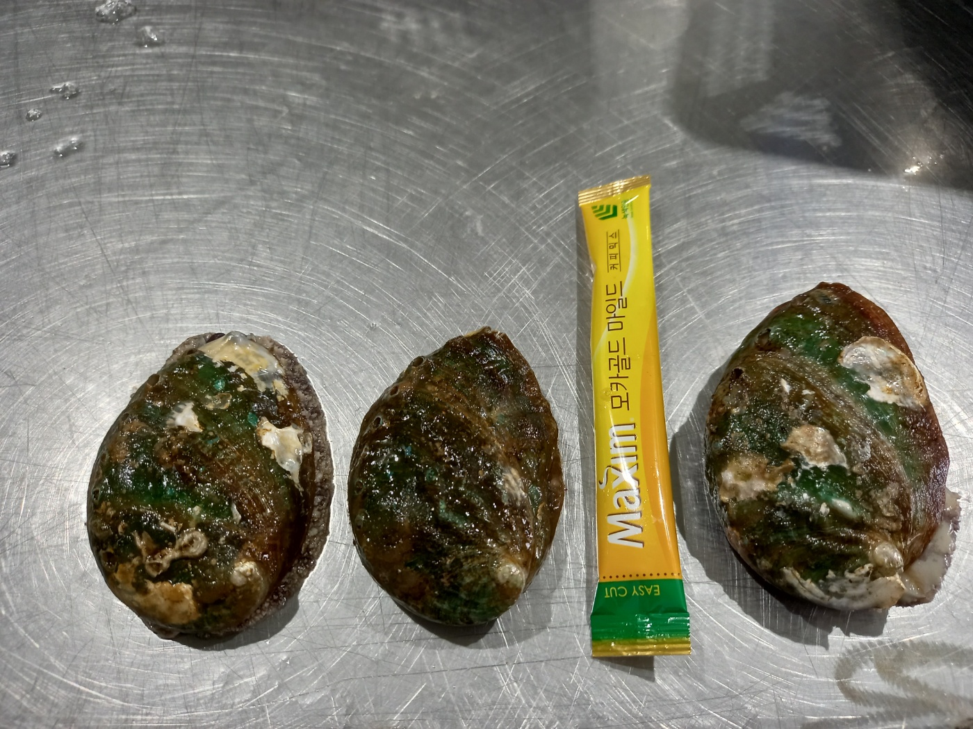 완도 활전복 500g,1kg 당일조업 산소포장 - 상세 이미지 4