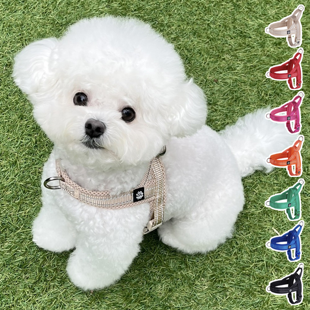 강아지 하네스 앞섬방지 앞고리 가슴줄 XXS 소형견