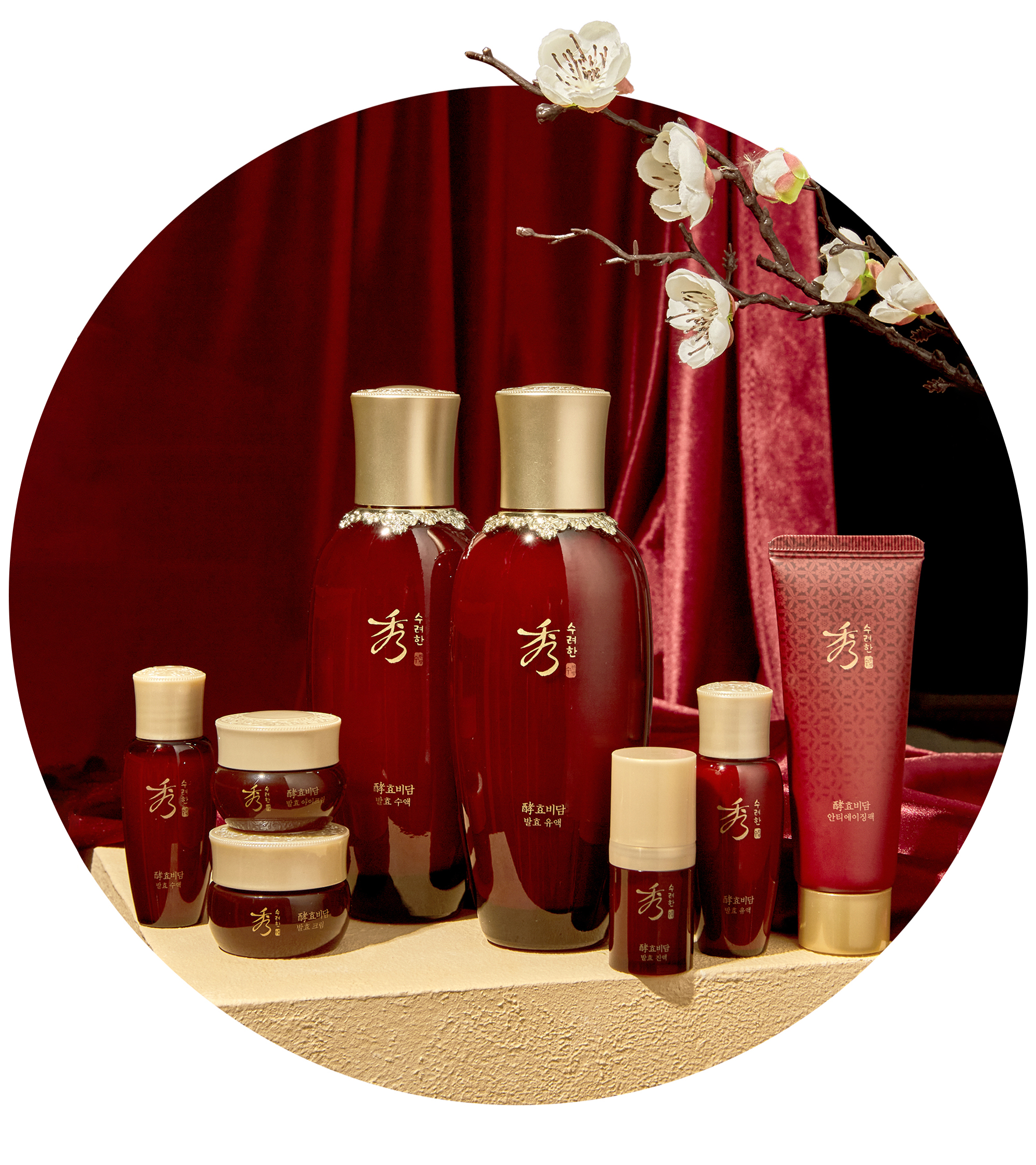 SOORYEHAN Hyobidam Fermented 2-Piece Set - details 2