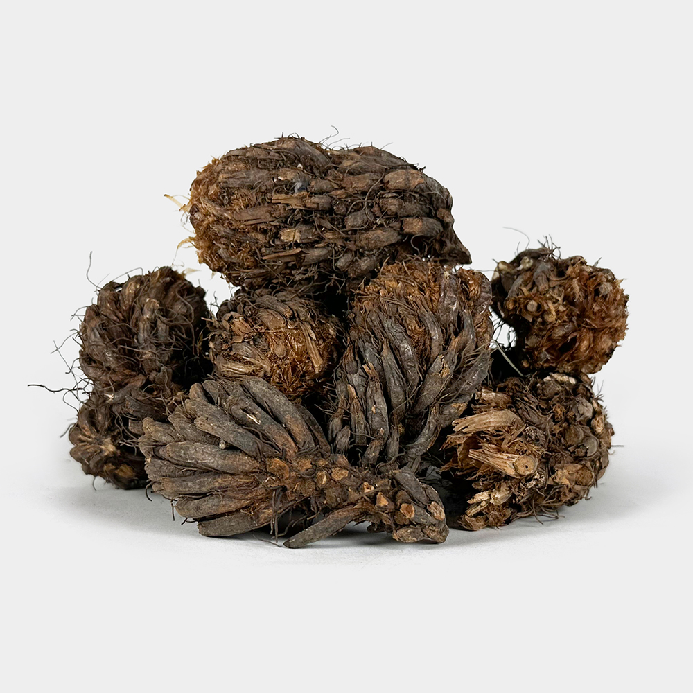 국산 관중 200g 이미지 2