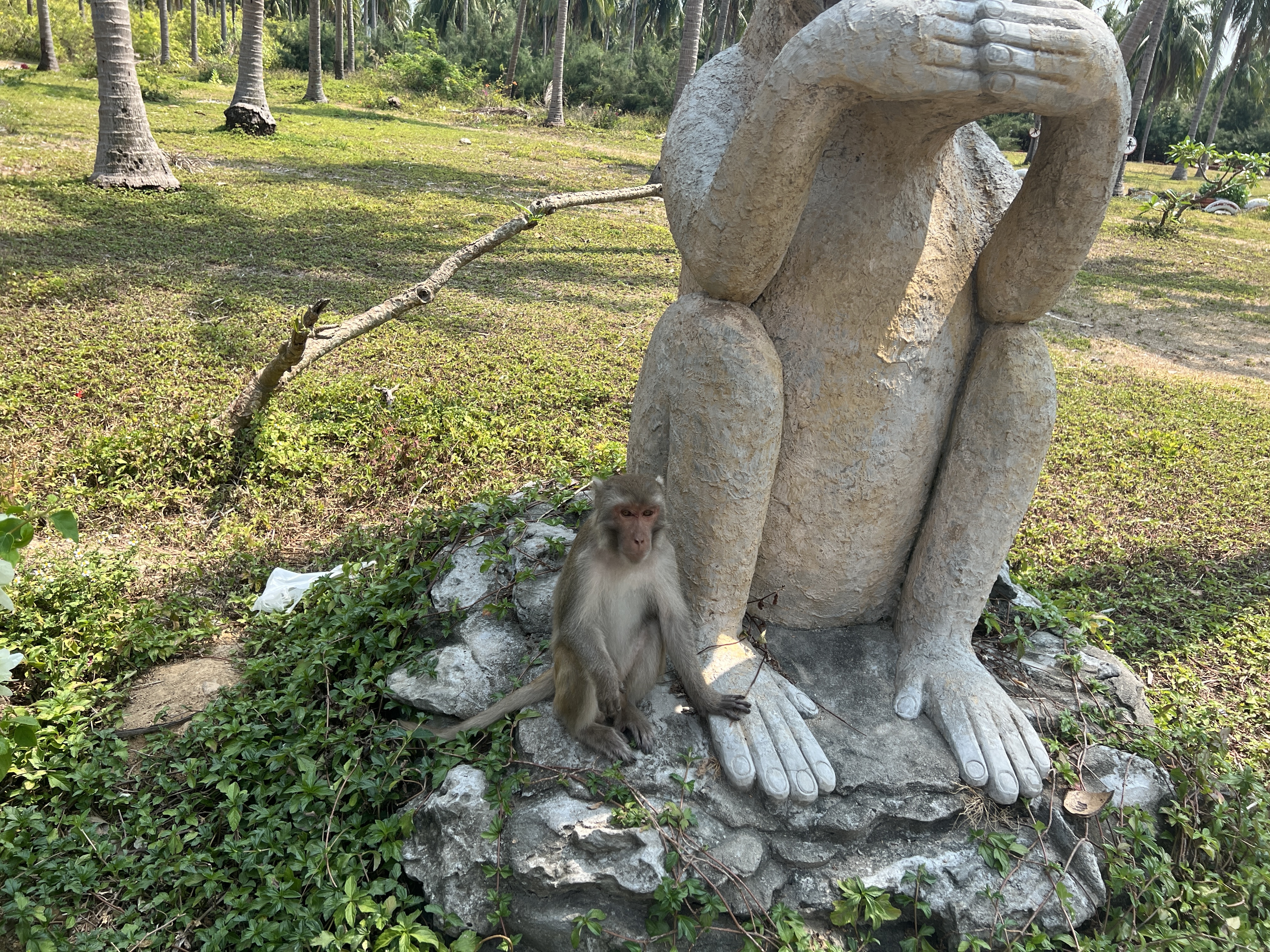나트랑 화란섬 원숭이섬 투어 (동물원 공연)