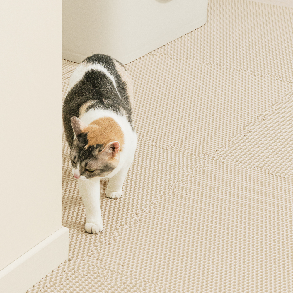 에코폼 고양이 모래매트 사막화방지 화장실 캣 벌집 발판 룰루 매트 60x60x1.2cm