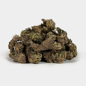 국산 부처손 권백 200g 맛있게 먹은 솔직 후기 - 상품 이미지 4