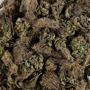 국산 부처손 권백 200g 맛있게 먹은 솔직 후기 - 상품 이미지 3