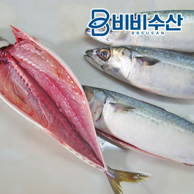 국내산 자반고등어 10마리 순살고등어 필렛