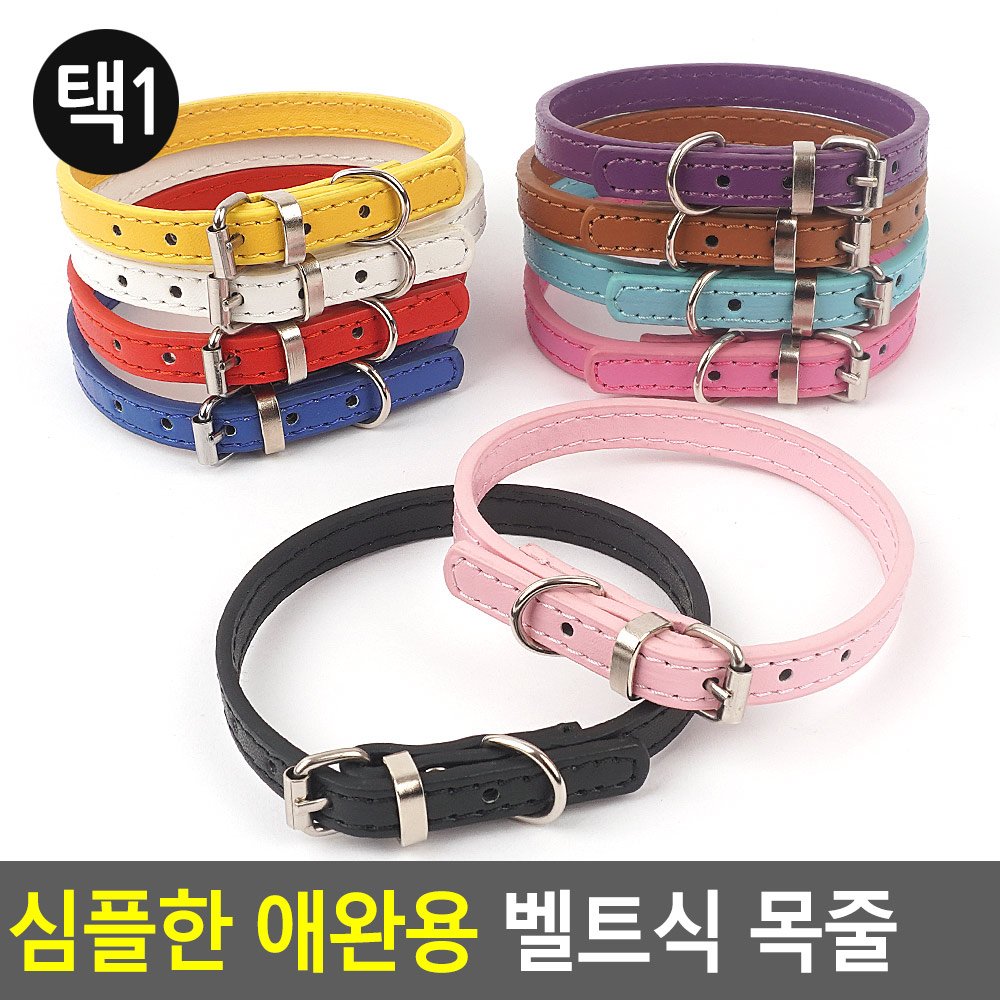 강아지 산책 목줄 말티즈 포메라니안 푸들 시바견 소형견 중형견 - 상세 이미지 4