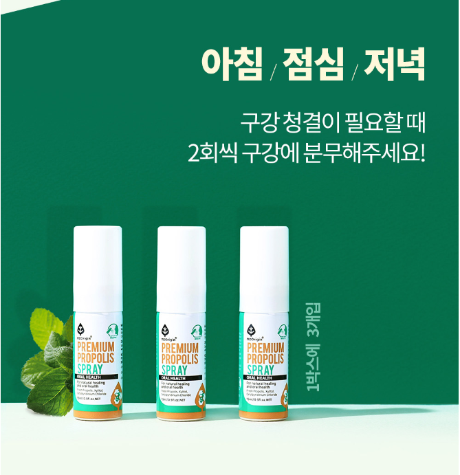구강 스프레이 청결제 입냄새 구취 제거 양치후 휴대용 가글 마우스 스프레이 3병 이미지 6